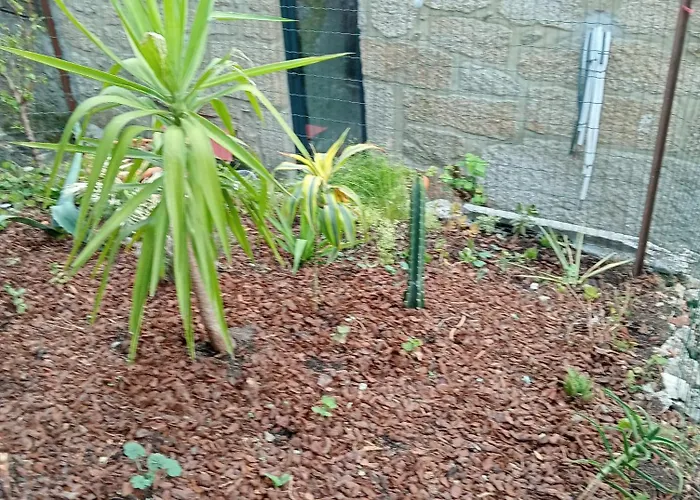 Appartamento Casa Da Fraga