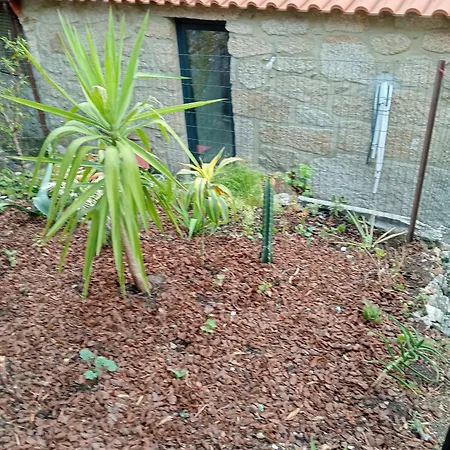 דירה Casa Da Fraga
