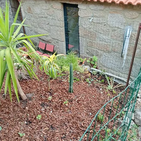 Casa Da Fraga Viana do Castelo